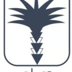 كوبون خصم 9 تمرات لبيع تمر العجوة الفاخرة 9 Dates