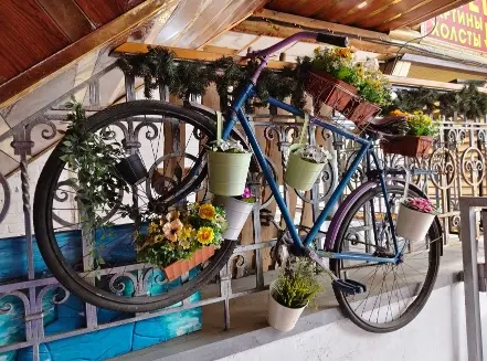 موبايل فيفو الجديد vivo v70